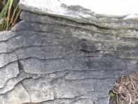 Albums/20060200-New Zealand 2006/20060205-Greymouth_Punakaiki/21